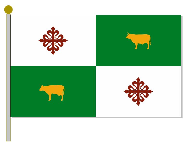 Bandera oficial aprobada para su tramitación