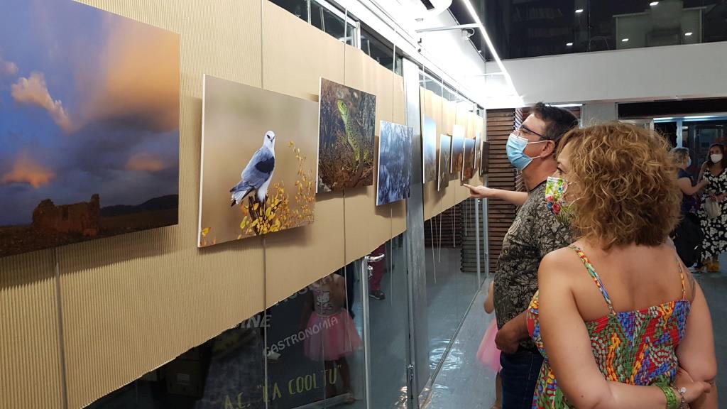 Contemplando la exposición